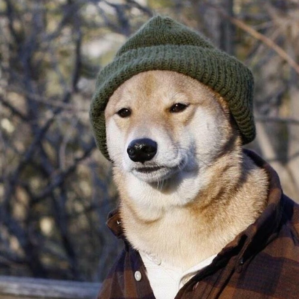 Meet your Posher, Hazel